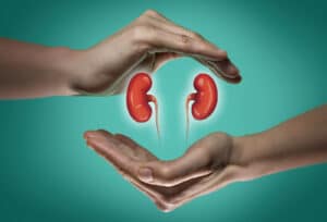 Skilled Nursing Care at Home in Shelby Township MI: Kidney Function