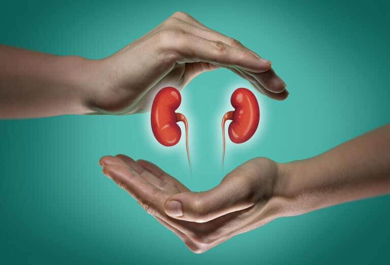 Skilled Nursing Care at Home in Shelby Township MI: Kidney Function
